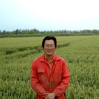青森県木造町　キタカミ小麦の収穫風景です。